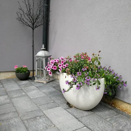 Zsinko Appartement *